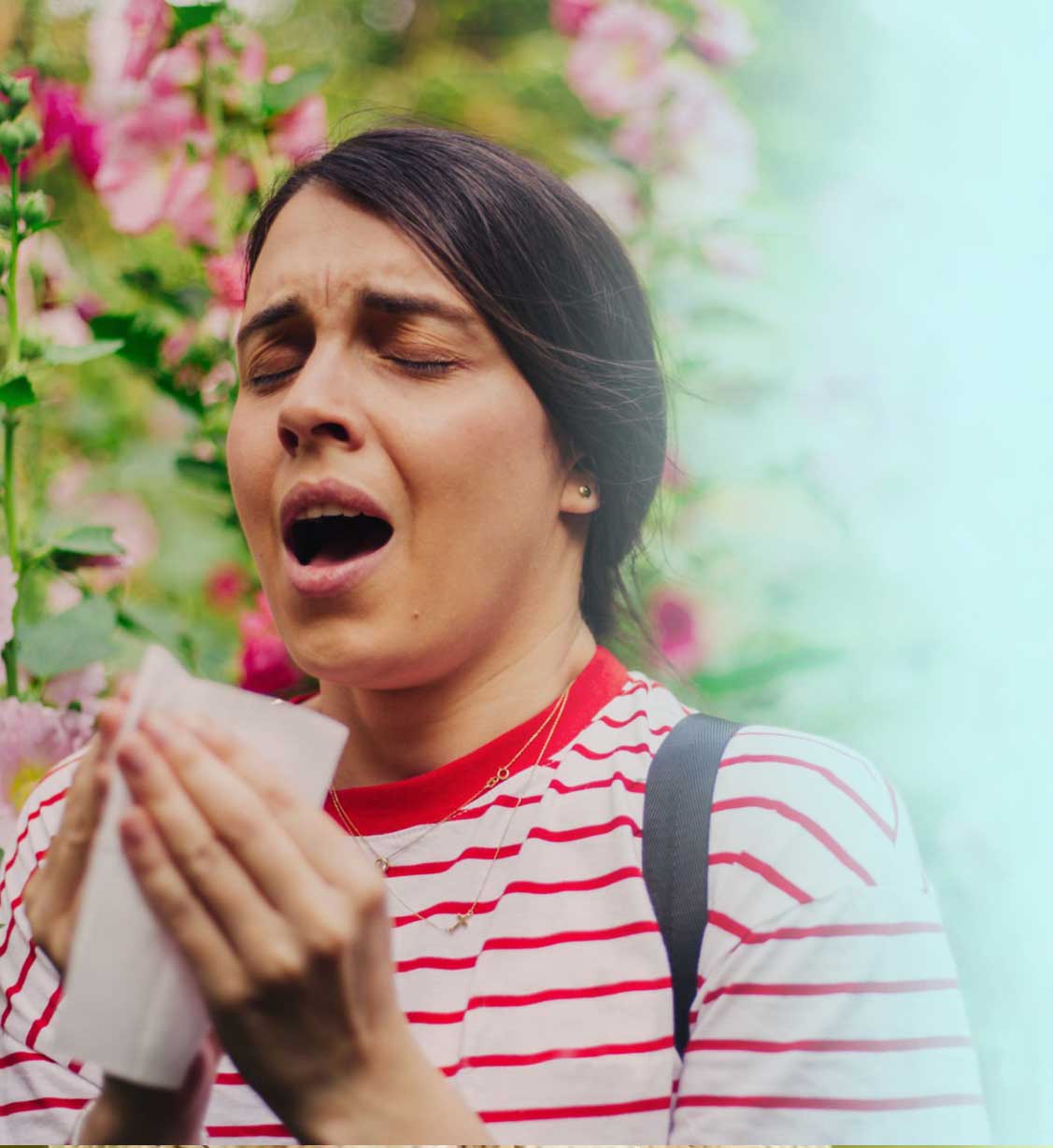 Header allergia2 tablet