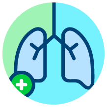 Riduce gonfiore ed infiammazione viee aeree